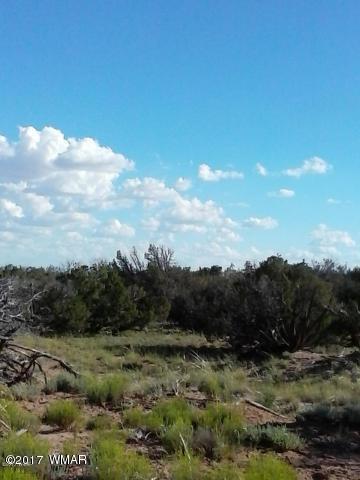 Lot 70 Red Sky Ranch St. Johns, AZ 85936 - Photo 3 of 8