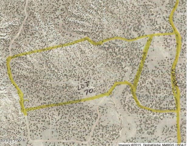 Lot 70 Red Sky Ranch St. Johns, AZ 85936 - Photo 4 of 8