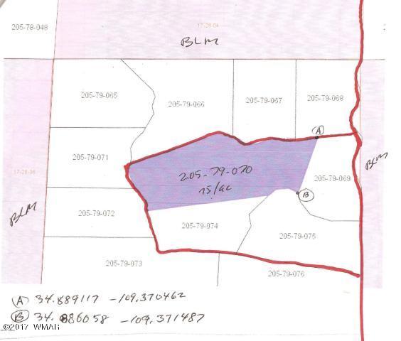 Lot 70 Red Sky Ranch St. Johns, AZ 85936 - Photo 5 of 8