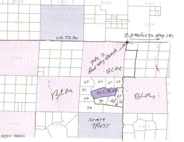 Lot 70 Red Sky Ranch St. Johns, AZ 85936 - Photo 6 of 8