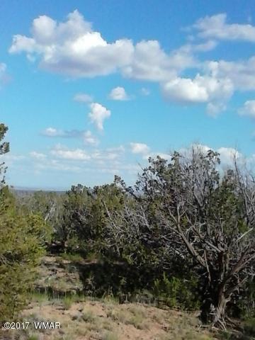 Lot 70 Red Sky Ranch St. Johns, AZ 85936 - Photo 7 of 8