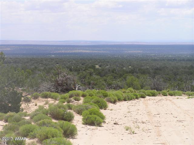 Lot 70 Red Sky Ranch St. Johns, AZ 85936 - Photo 8 of 8