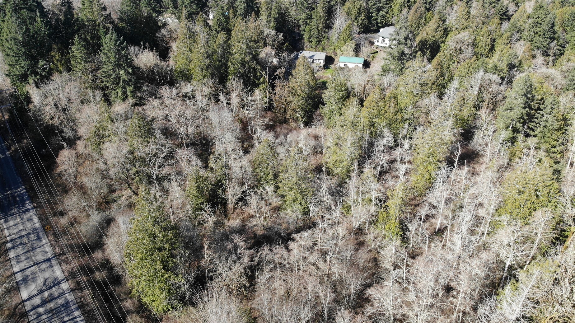 0 Southeast Sedgwick Road Port Orchard, WA 98366 - Photo 12 of 13 a view of a forest with a tree
