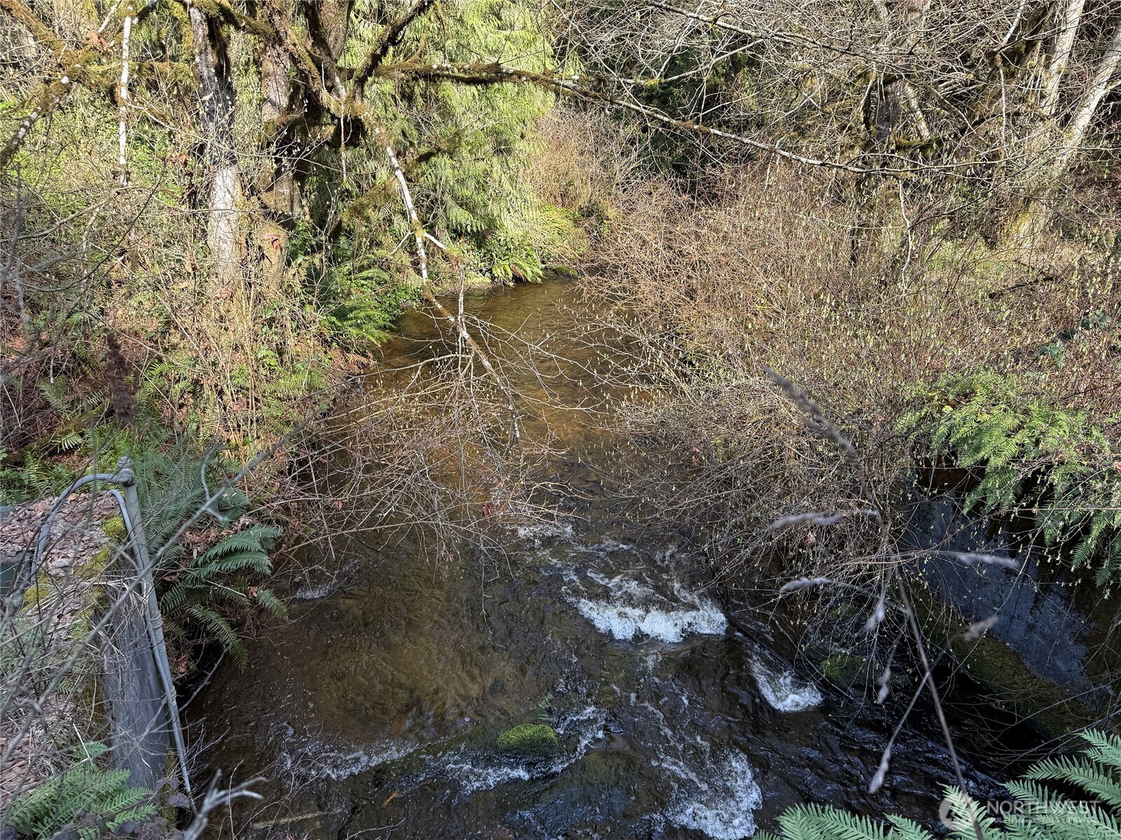 0 Southeast Sedgwick Road Port Orchard, WA 98366 - Photo 2 of 13 a view of a forest