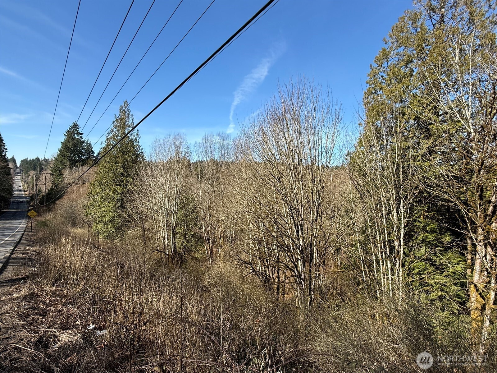 0 Southeast Sedgwick Road Port Orchard, WA 98366 - Photo 5 of 13 a view of a dry yard with wooden fence