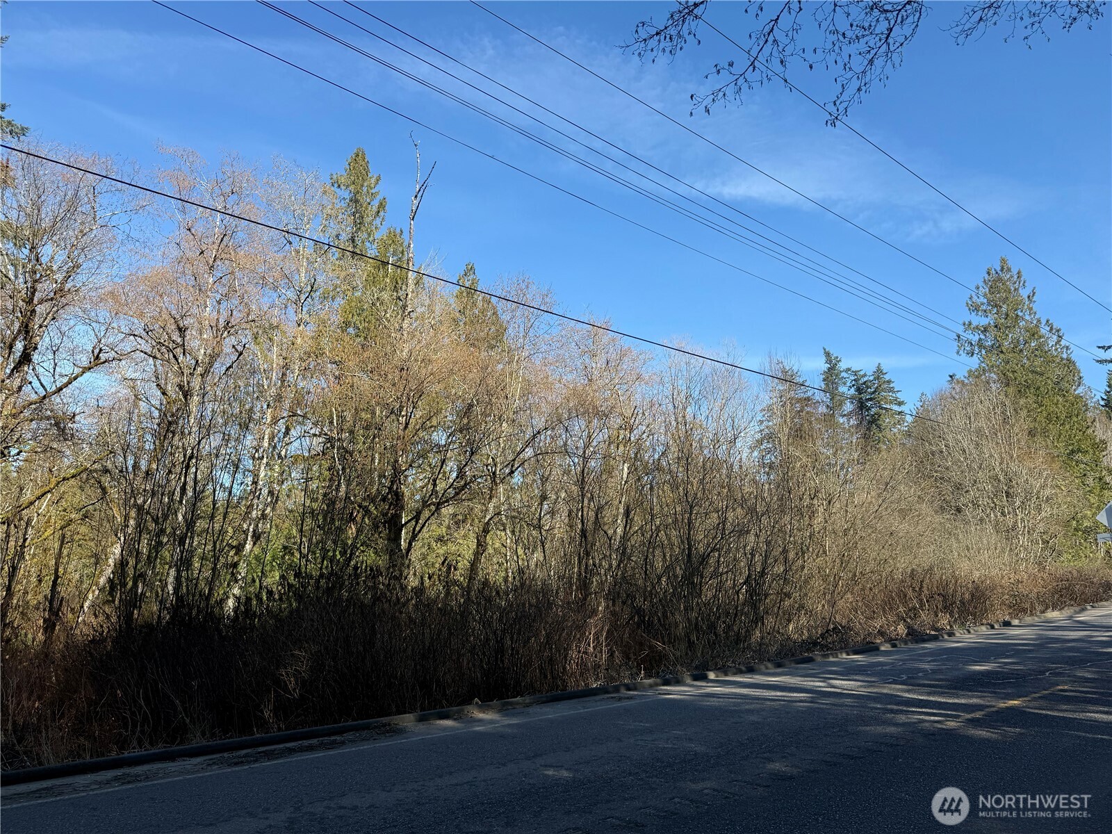 0 Southeast Sedgwick Road Port Orchard, WA 98366 - Photo 7 of 13 a view of a yard