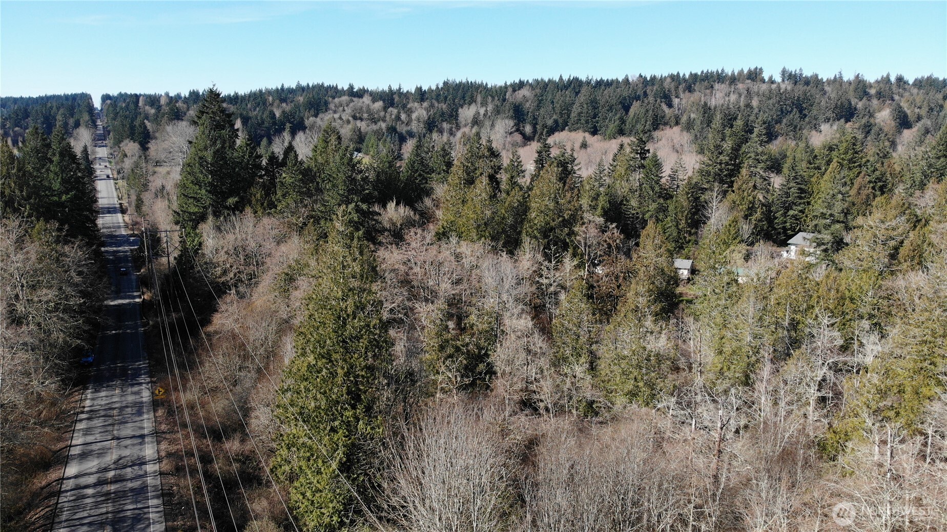 0 Southeast Sedgwick Road Port Orchard, WA 98366 - Photo 8 of 13 a view of a yard