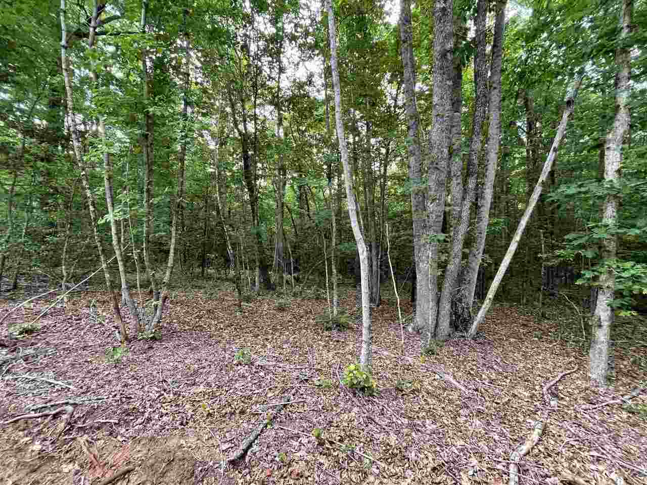 0 Laurel Ridge Road, Unit LOT 2 Cleveland, GA 30528 - Photo 1 of 1 a backyard of a house with lots of trees