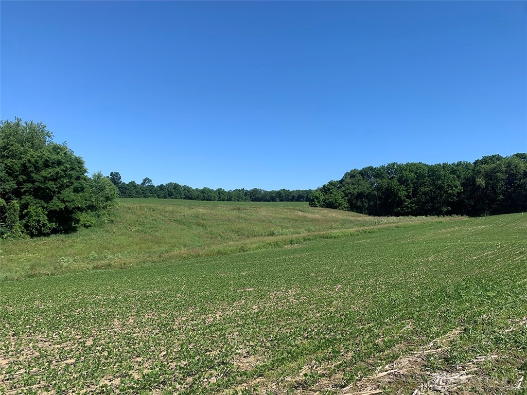 0 Bone Road Mount Vernon, OH 43050 - Photo 13 of 39 Gallery Image 13