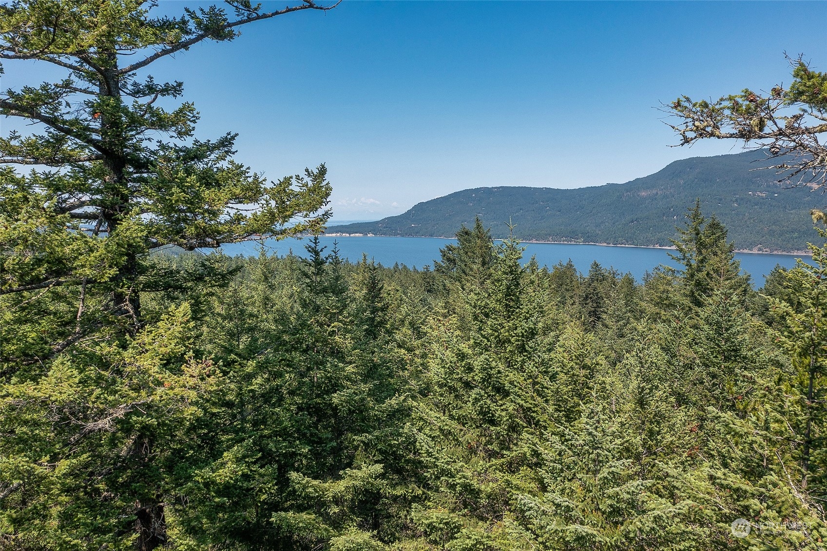0 Ridgeway Lane Orcas Island, WA 98245 - Photo 20 of 28 Gallery Image 20