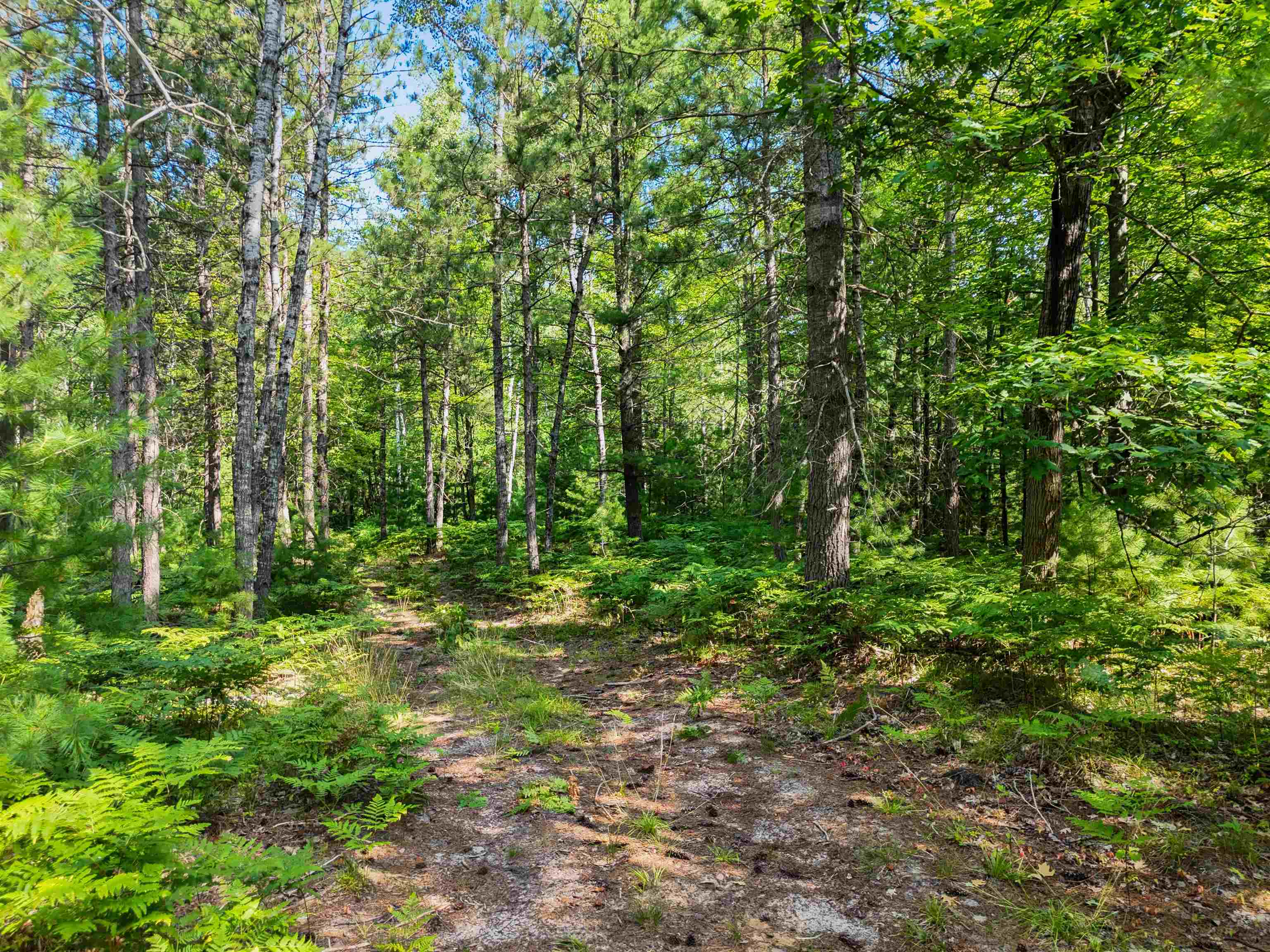 0 West Arnold Road Manton, MI 49663 - Photo 11 of 16