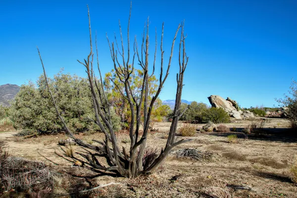 a view of a backyard of the house