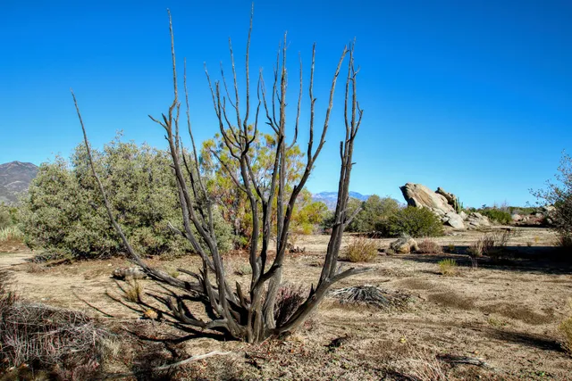 a view of a backyard of the house