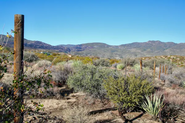 a view of a mountain with a tree in the background