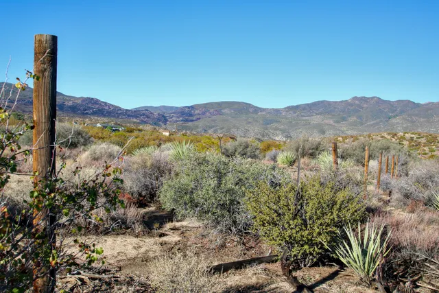 a view of a mountain with a tree in the background
