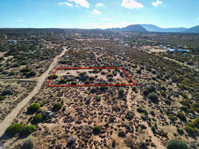 an aerial view of residential houses with city view