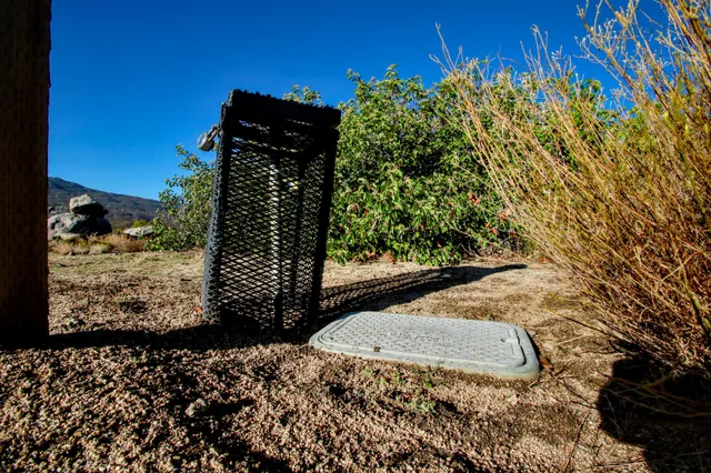 a view of a yard with plants and trees