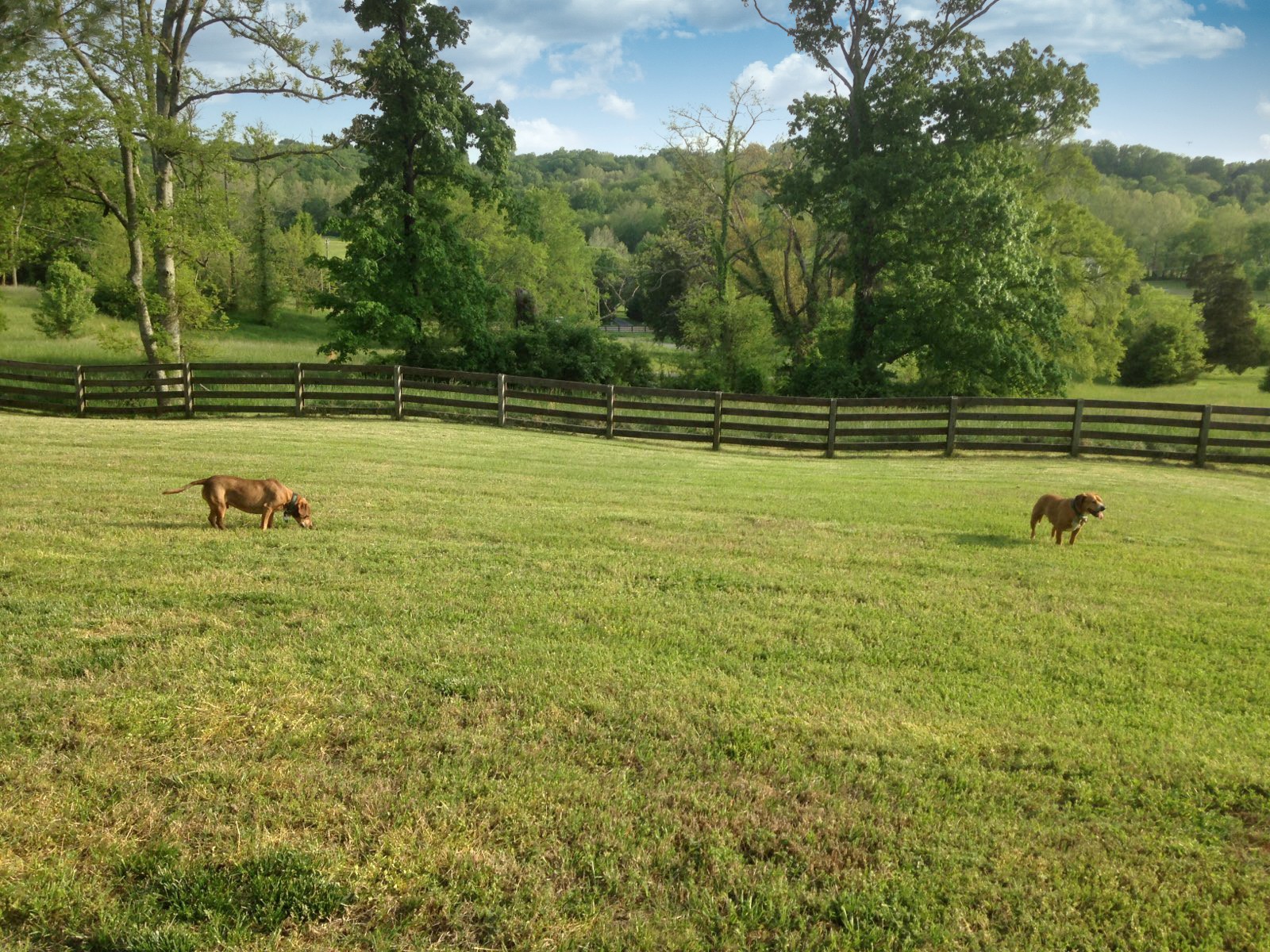 6720 Burkitt Road Antioch, TN 37013 - Photo 50 of 50 Gallery Image 50