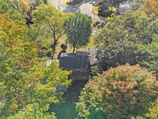 a picture of flowers