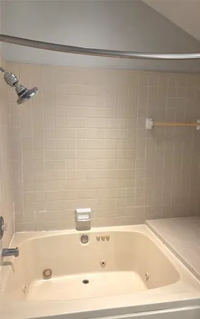 a bathroom with a shower and a bath tub