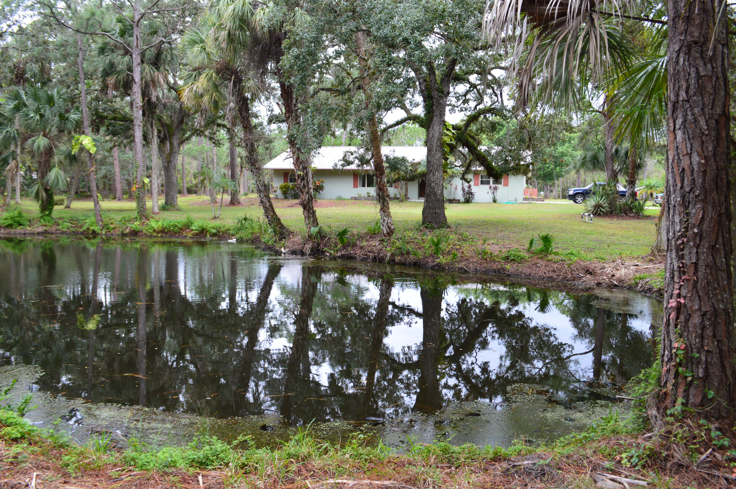 3900 Leghorn Road Malabar, FL 32950 - Photo 1 of 37 DSC_0191