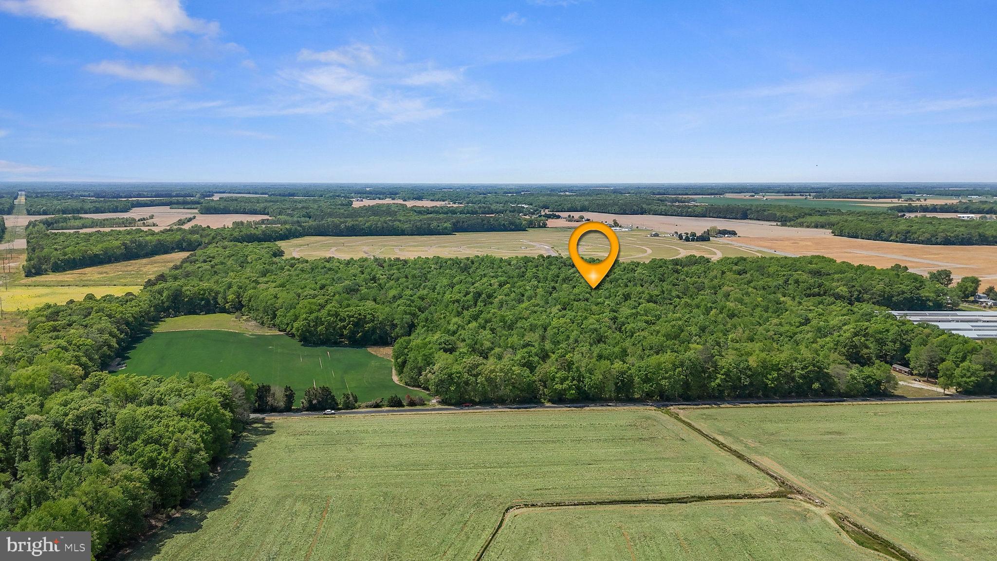 0 Cattail Road Harrington, DE 19952 - Photo 19 of 20