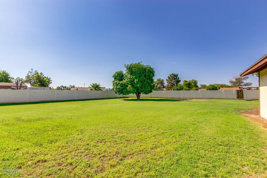 965 East Gunstock Road Chandler, AZ 85286 - Photo 37 of 46 Let the horses run FREE!