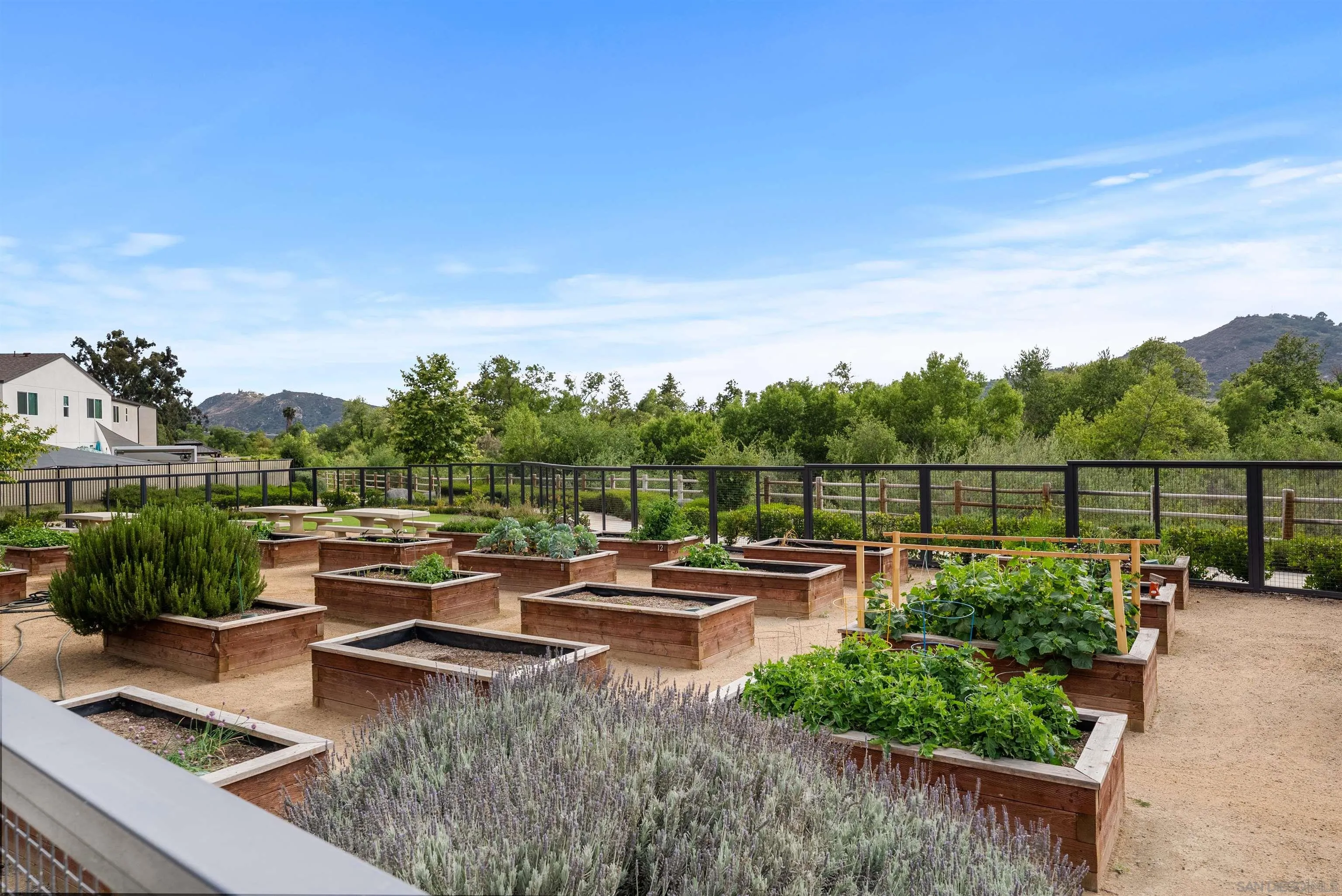 323 Satsuma Trail Fallbrook, CA 92028 - Photo 25 of 28 a view of houses with yard and outdoor seating