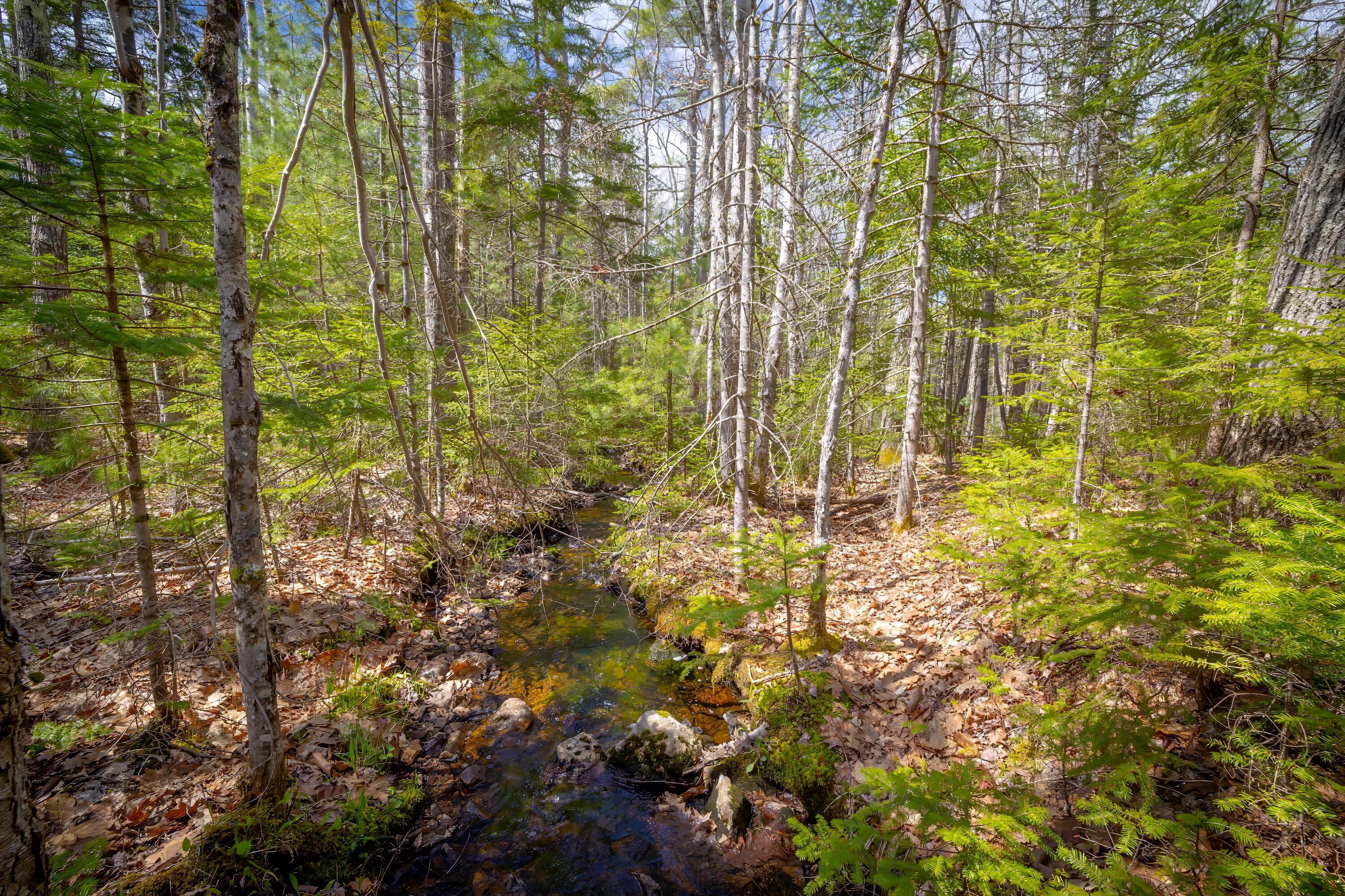Lot 9 Bluff Road Bar Harbor, ME 04609 - Photo 24 of 33 Copy of 62-Lot 9, Bluff Road-DTP
