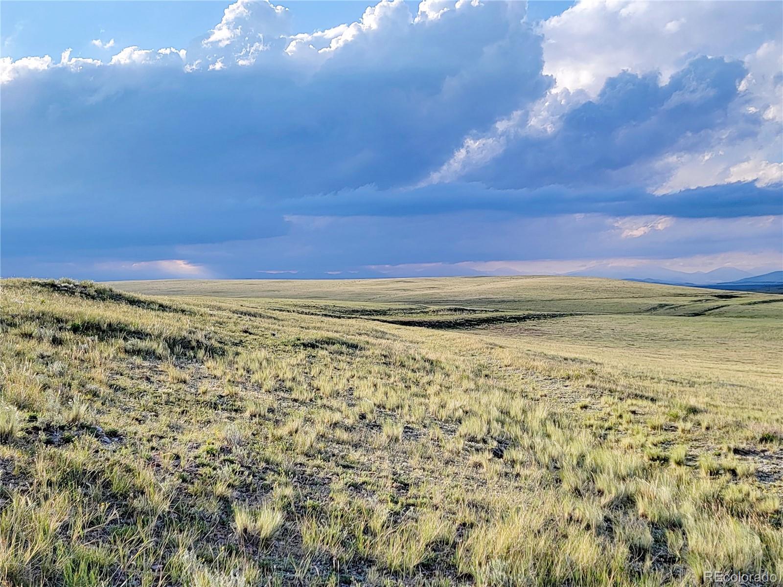 526 Cheyenne Road Hartsel, CO 80449 - Photo 10 of 16 Gallery Image 10