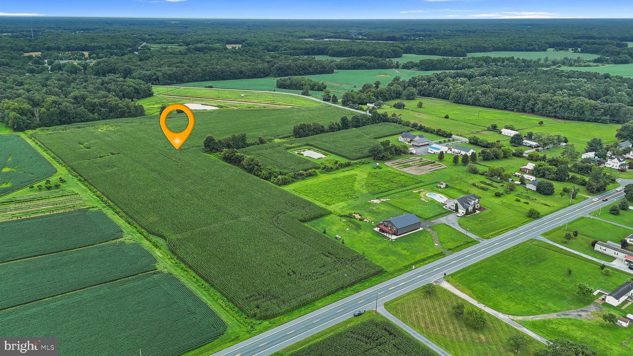 0 Sudlersville Road Clayton, DE 19938 - Photo 6 of 9 a view of a lush green field