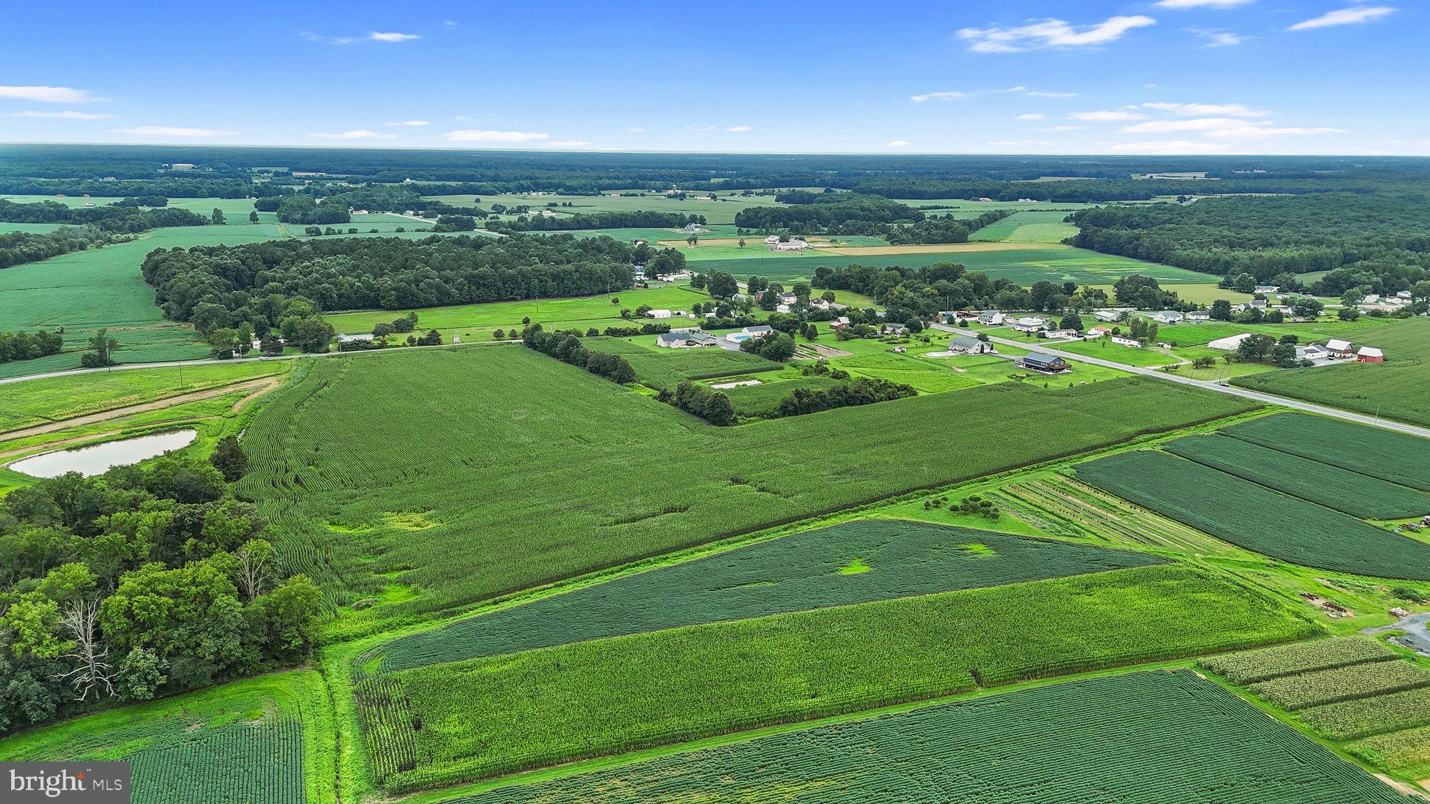 0 Sudlersville Road Clayton, DE 19938 - Photo 9 of 9 a view of a green field with clear sky