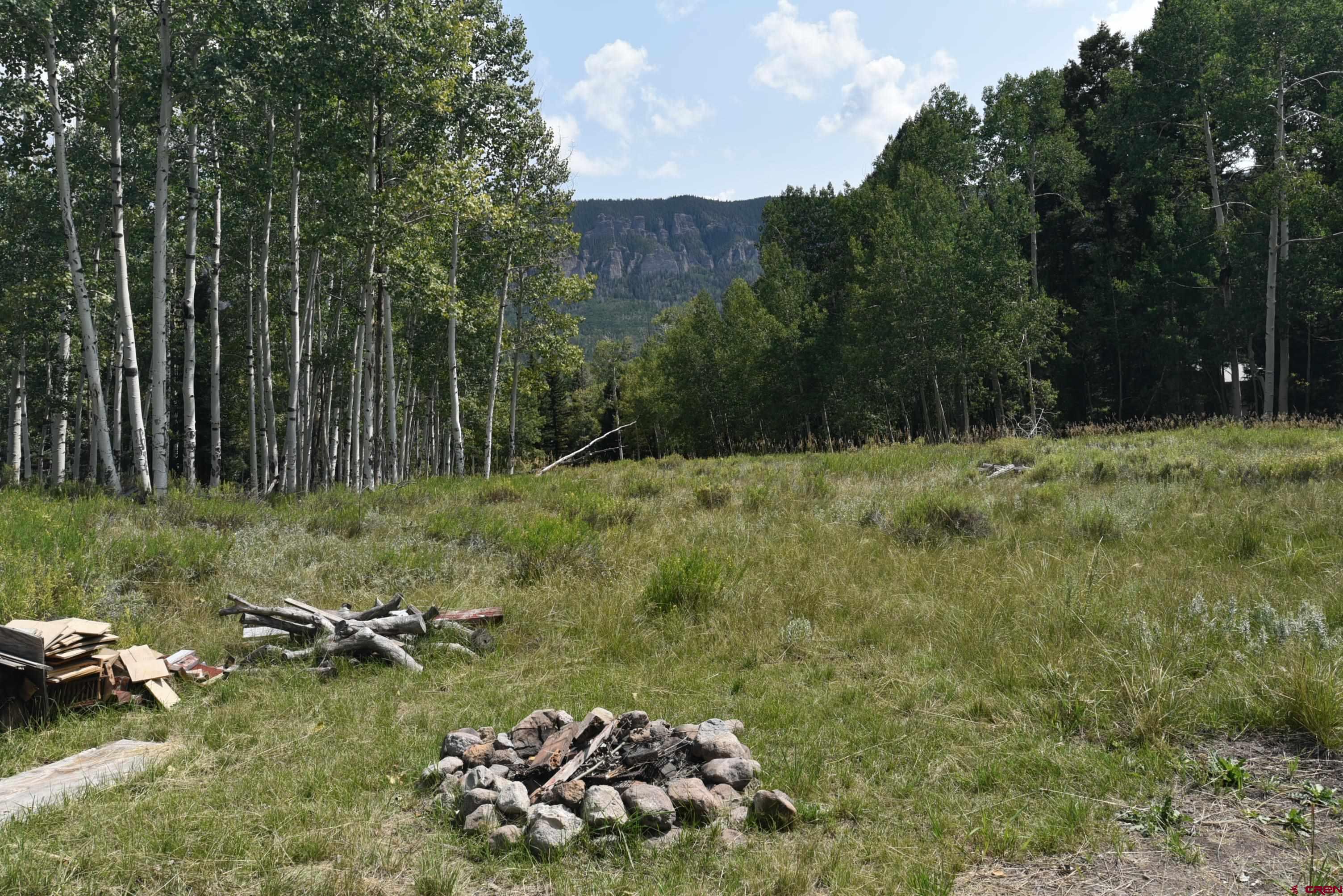 704 Hampton Road Montrose, CO 81220 - Photo 23 of 45 a view of a lush green forest with lots of trees