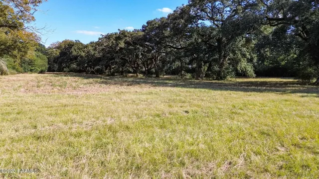 $799,900 | 0 South Domingue Avenue, Lafayette, LA 70506