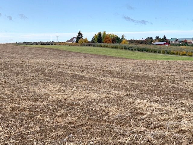 Xx East Xx E Greenbluff (8500 Block) Road Colbert, WA 99005 - Photo 12 of 15