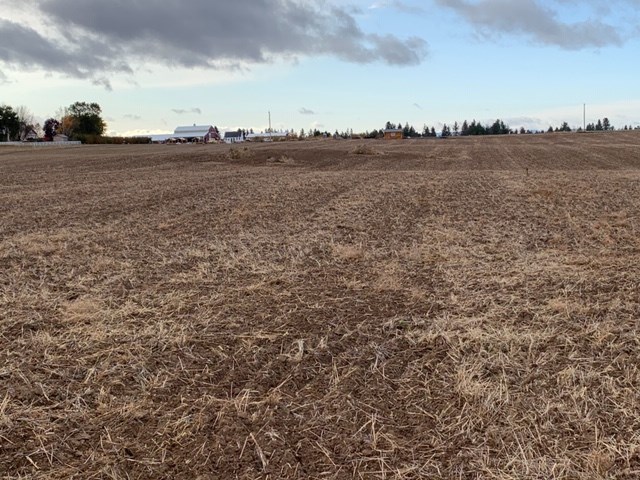 Xx East Xx E Greenbluff (8500 Block) Road Colbert, WA 99005 - Photo 13 of 15