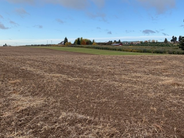 Xx East Xx E Greenbluff (8500 Block) Road Colbert, WA 99005 - Photo 14 of 15