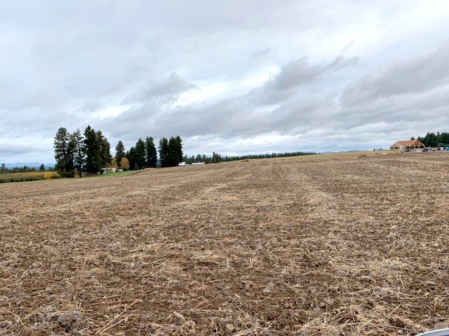 Xx East Xx E Greenbluff (8500 Block) Road Colbert, WA 99005 - Photo 15 of 15