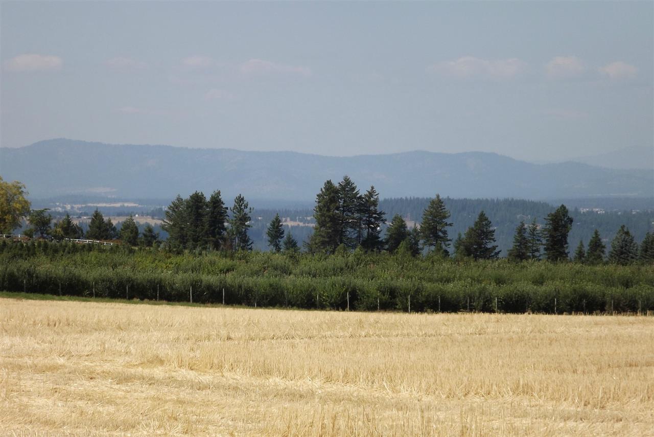 Xx East Xx E Greenbluff (8500 Block) Road Colbert, WA 99005 - Photo 3 of 15