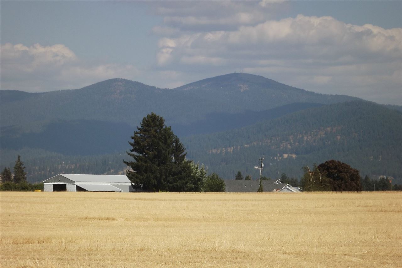 Xx East Xx E Greenbluff (8500 Block) Road Colbert, WA 99005 - Photo 4 of 15