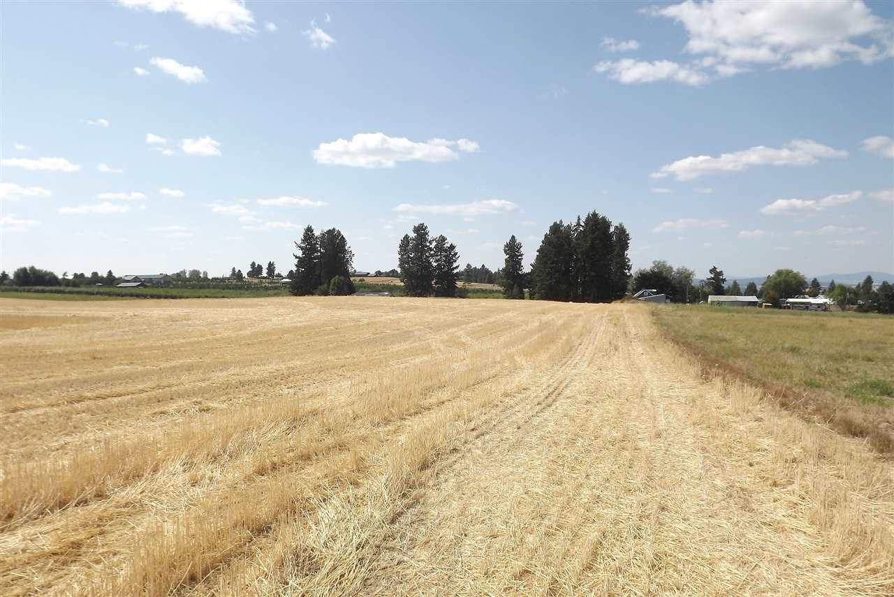 Xx East Xx E Greenbluff (8500 Block) Road Colbert, WA 99005 - Photo 5 of 15