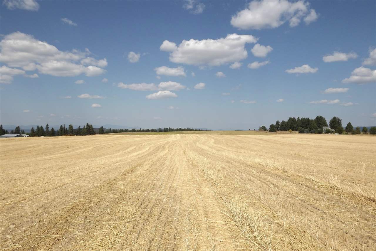 Xx East Xx E Greenbluff (8500 Block) Road Colbert, WA 99005 - Photo 6 of 15