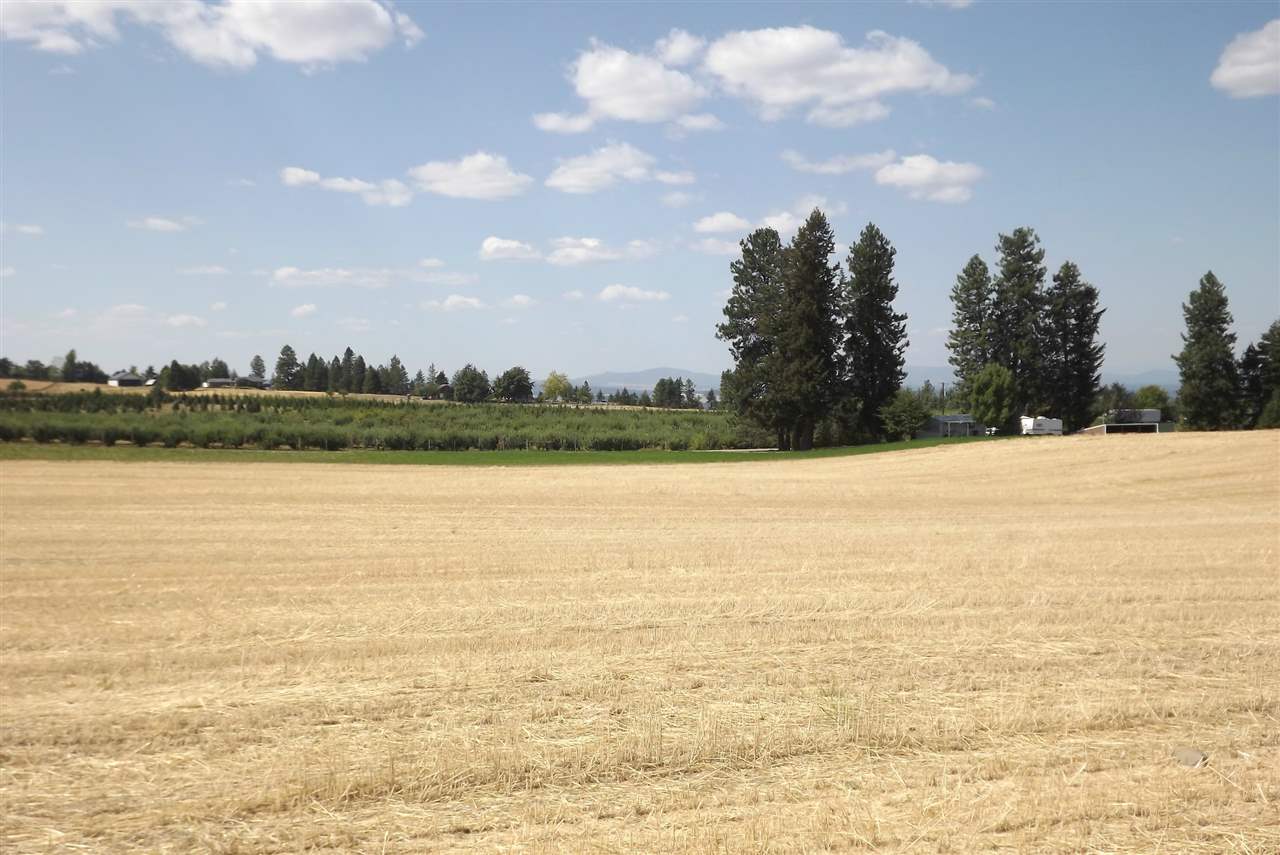 Xx East Xx E Greenbluff (8500 Block) Road Colbert, WA 99005 - Photo 7 of 15
