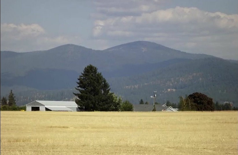 Xx East Xx E Greenbluff (8500 Block) Road Colbert, WA 99005 - Photo 8 of 15