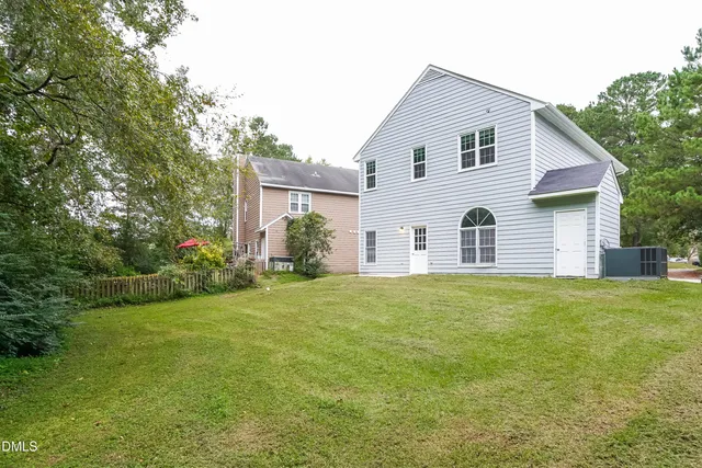 a view of a backyard with plants and large tree
