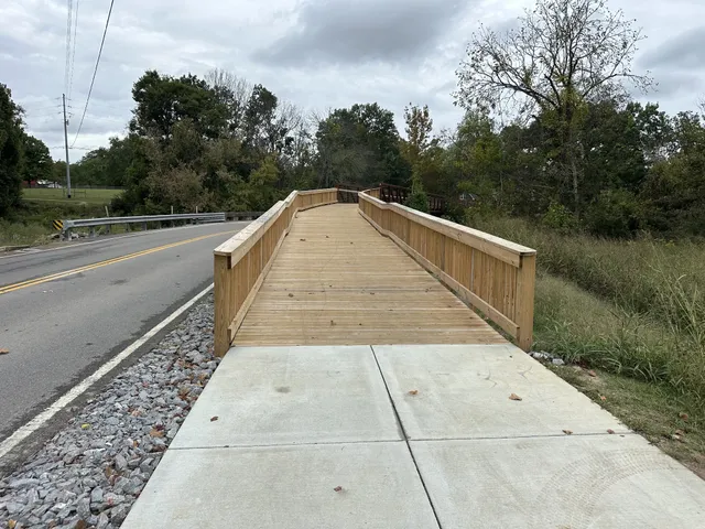 a view of a dry yard with trees
