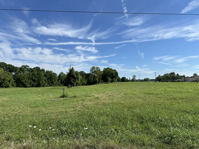 a view of outdoor space with green field and trees