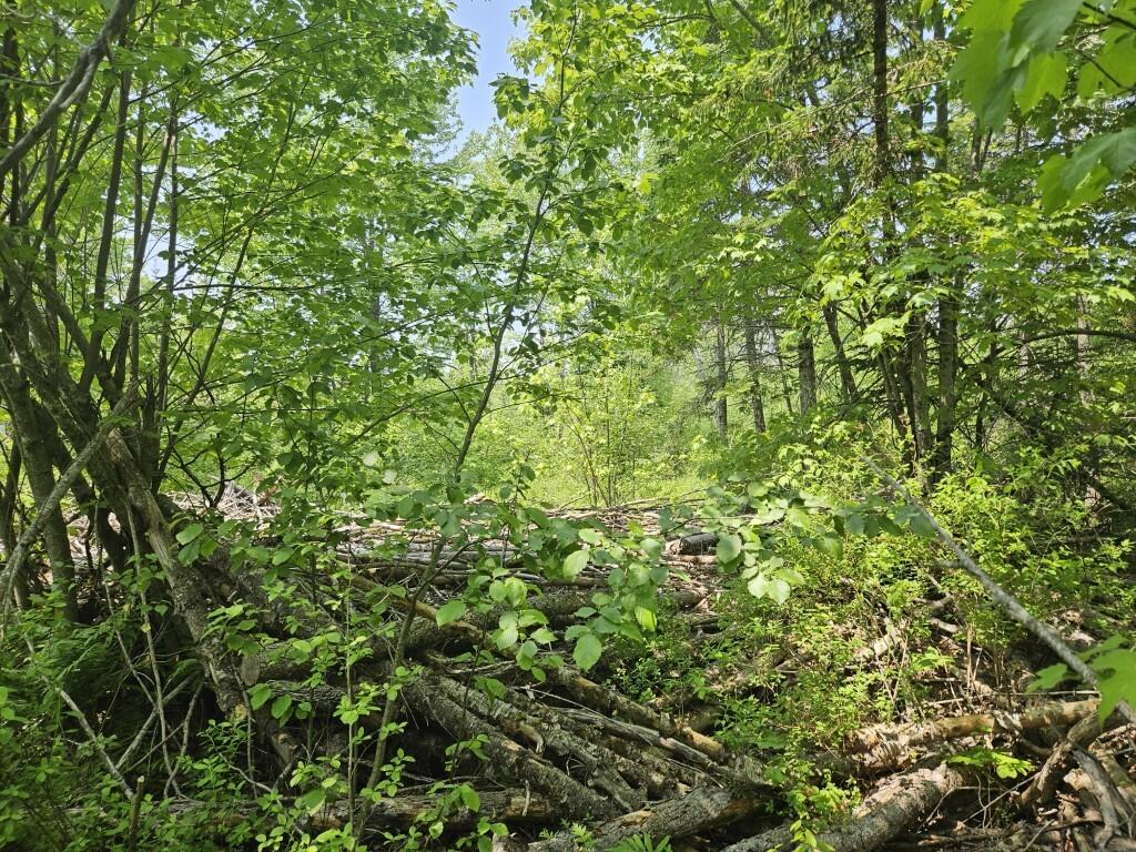 2016 Hudson Road Hudson, ME 04449 - Photo 18 of 36