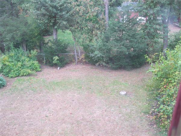 210 St James Avenue Springfield, MA 01109 - Photo 8 of 9 Gallery Image 8
