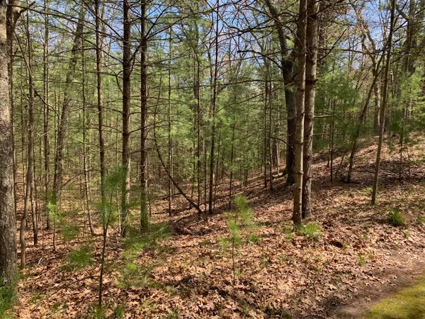 $59,900 | Lenox Avenue, Pentwater, MI 49449